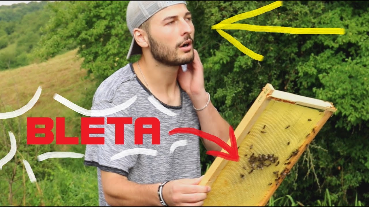 nuk u dasht ME BO QET SEN ! #VLOG74 03.07.17