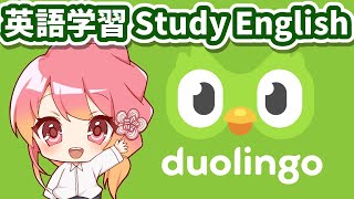 【英語学習】Study English【duolingo】