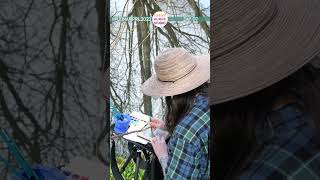 Mossy tree ✶ #PleinAirpril Day 07