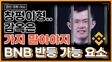 BNB코인 반등 가능성은 여기에 달려있다 바이낸스 거래소 악재 해소는