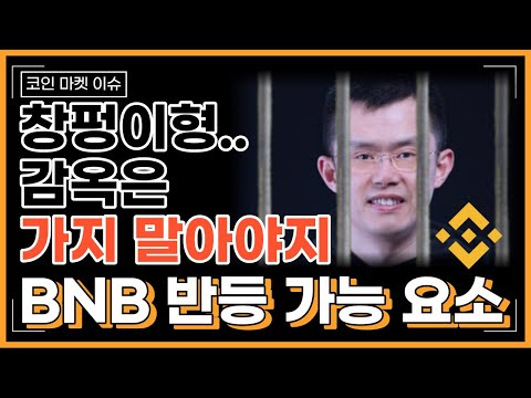   BNB코인 반등 가능성은 여기에 달려있다 바이낸스 거래소 악재 해소는