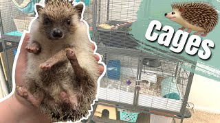 Cages for Hedgehogs by Tori Lynn 122,068 views 4 years ago 16 minutes