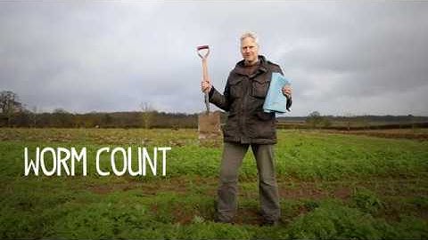 GREATsoils: The Worm Count Test