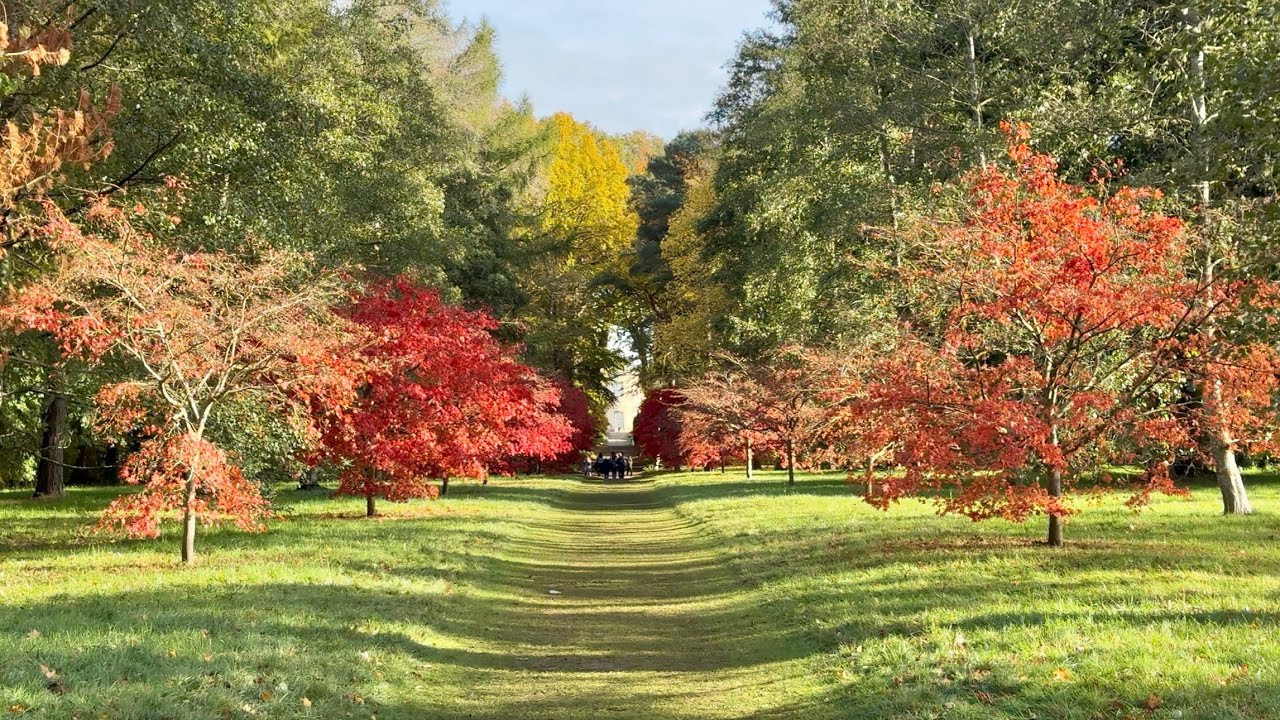 Thorp Perrow Arboretum 1, North Yorkshire, 30/10/25