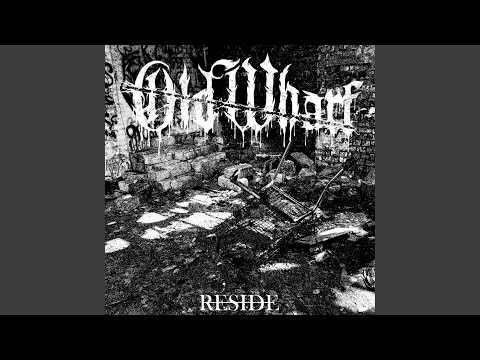 Watch Reside on YouTube Watch Reside on YouTube