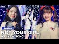 New song not your girl  ive  2023 the first fan concert  performance