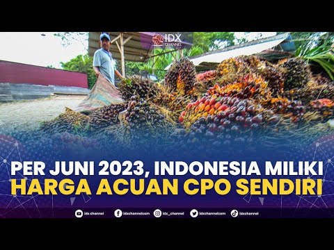 Per Juni 2023, Indonesia Miliki Harga Acuan CPO Sendiri | MARKET REVIEW 26/01/2023