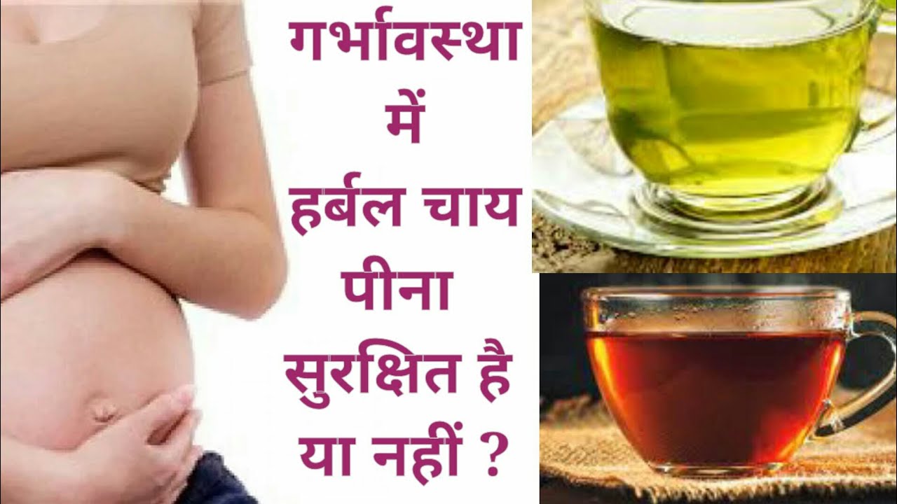 गर्भावस्था में हर्बल चाय पीना सुरक्षित है या नहीं Pregnancy Me Green