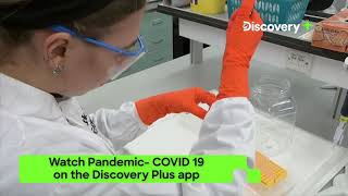 How Will Coronavirus End? Pandemic Covid-19 Coronavirus Outbreak Discovery Plus India