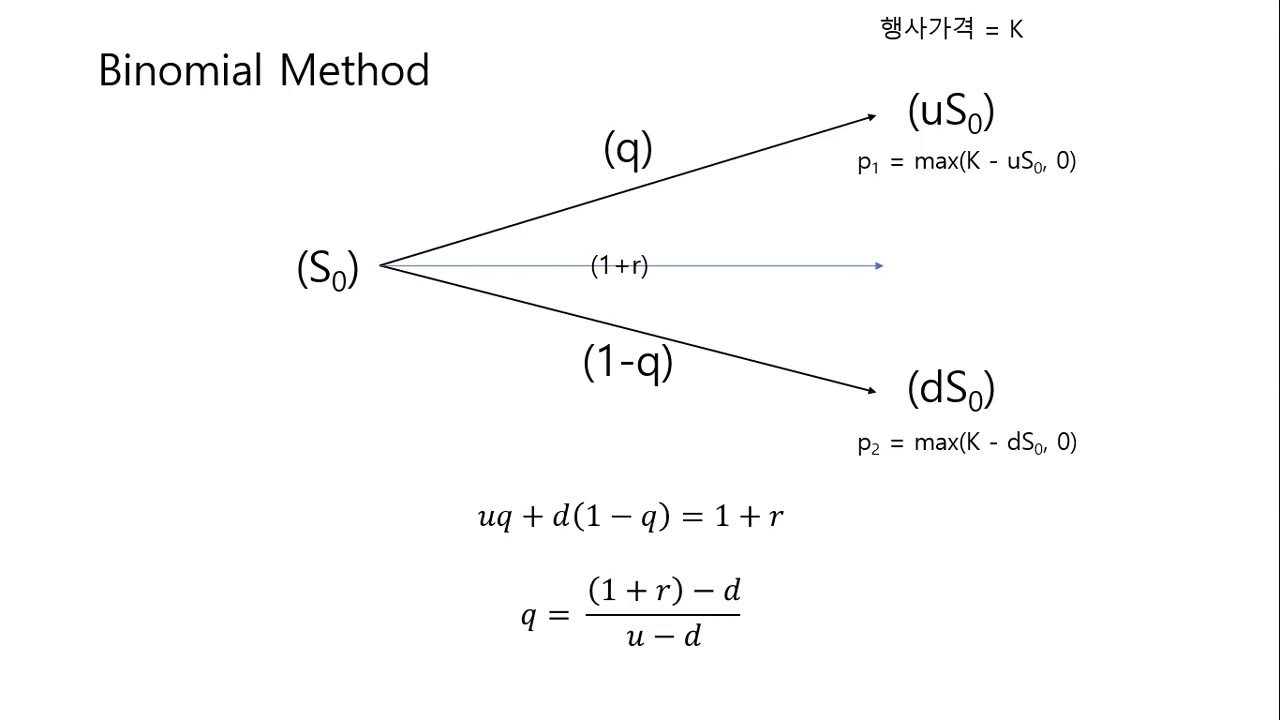 [SWTT] Python을 사용, Binomial Method를 이용해서 Put Option Pricing - 양수훈 - YouTube