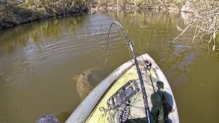 CATFISHING ON A PADDLEBOARD! RIVERSIDE #6