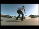 Black Park Edit Sunday June 8th 2008