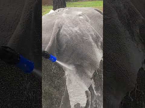 高圧洗浄と終わりのない石鹸 #自動車 #フォード #整備士 #asmr