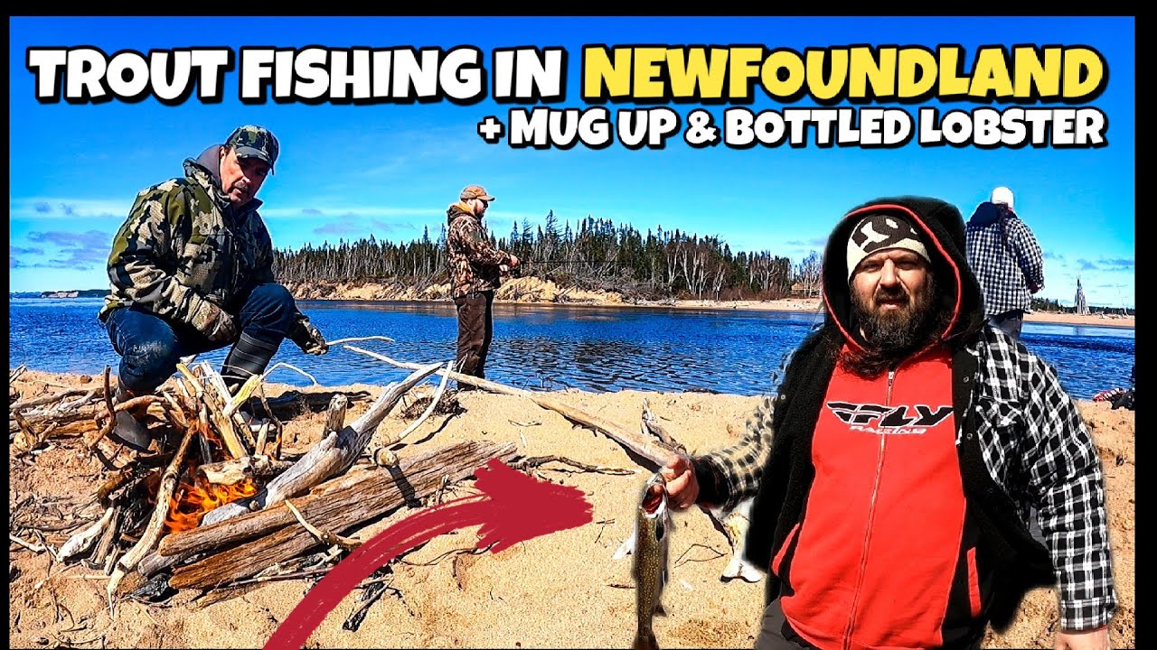 Trout Fishing in Newfoundland! (Mug Up & Bottled Lobster) YouTube