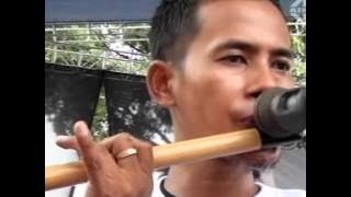 si kecil tasya rosmala kelayung layung   NEW PALLAPA LIVE KARANGASEM WIROSARI 2016