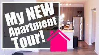 Vlog #1 My New Apartment Tour! Unfurnished Unedited | Behind the Scenes | Bonus Video | BorderHammer