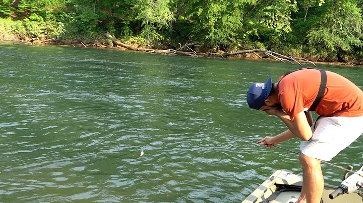 Fishing and Cooking Trout in a Beautiful Place