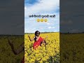 जर्मनीमध्ये गुलाबी साडी||Fun 😄😄😄#Gulabisadi#viral#trending #shorts#ytshorts