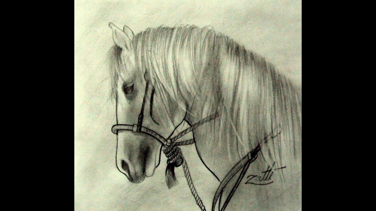 How to draw a horse - como desenhar um cavalo - iPStudio. #shorts