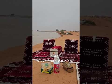 نعمة المطر وتنبيهات حول الجمع بين الصلاتين فيه اكسبلور المصحف دويتو قصص قرآن ترند امطار 