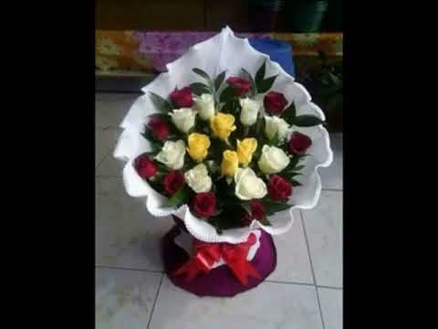 اجمل صور وردة صور ورود جملية