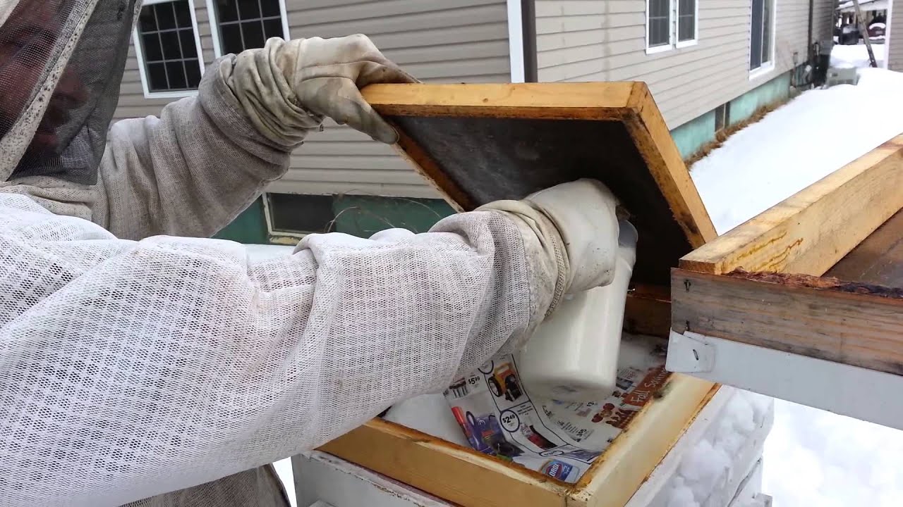 2-7-15 - Winter feeding via Mountain Camp methods