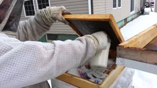 2-7-15 - Winter feeding via Mountain Camp methods