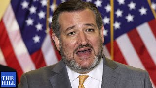 Ted Cruz EXPLODES at Democrats for 'voter suppression' bill