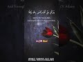 Empty Inside? This Reminder Will Bring You Back To Allah | Islamic Reminder”