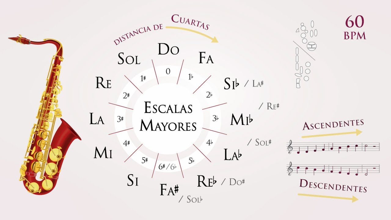 Practica n°1 🎷 12 ESCALAS MAYORES | Saxo Tenor o Soprano | bpm 60