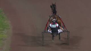 Vidéo de la course PMU LOPP 6