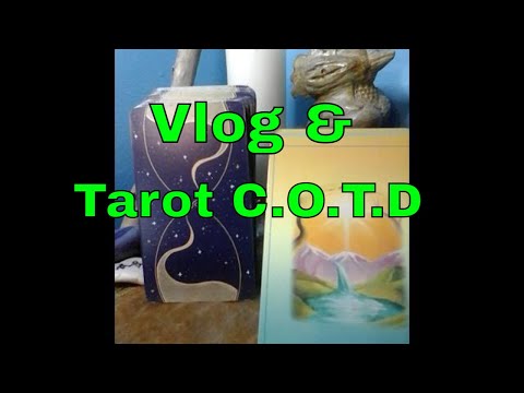 Tarot Reading For Your Sunday Forecast- Sunday Vlog