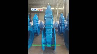 Daily Gate Valve Selection #valve