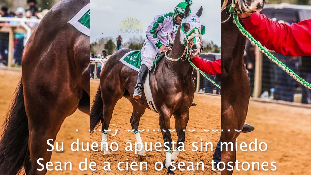 Alex Ramirez - El Cash