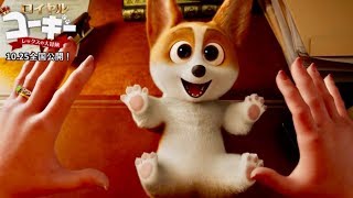 ペロペロ！モフモフ！エリザベス女王もメロメロ！映画『ロイヤルコーギー』本編映像