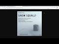 NWS Missoula - Snow Squall Update - Thursday, December 23