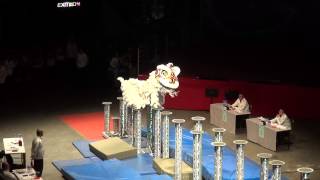 鱷魚恤世界香港夜光龍醒獅錦標賽2014 印尼 20140112 獅