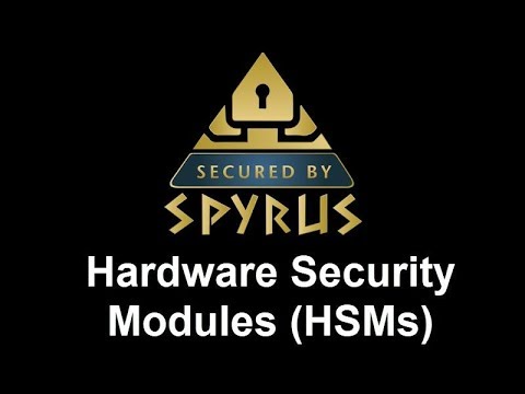 Hardware Security Module (HSM) by Spyrus