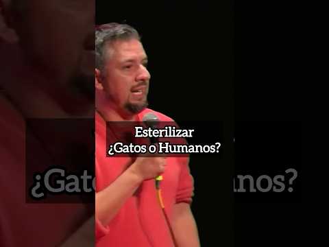 Esterilizar, ¿gatos o humanos?