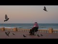 تلاوة أيوبية من سورة مريم الشيخ محمد أيوب تلاوة أيوبية من سورة مريم الشيخ محمد أيوب