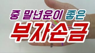 노후가 행복하고 중,말년에 재물운 명예운 복이 들어오는 좋은손금 부자손금- 태양선,운명선,재물선이 잘 발달한…