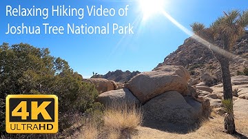 Hiking Joshua Tree National Park