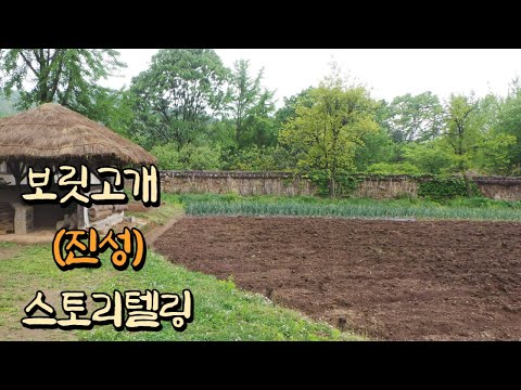 '보릿고개(진성)'  스토리텔링