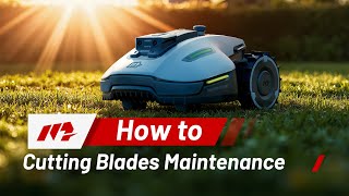 How to Maintain Cutting Blades on YUKA mini？