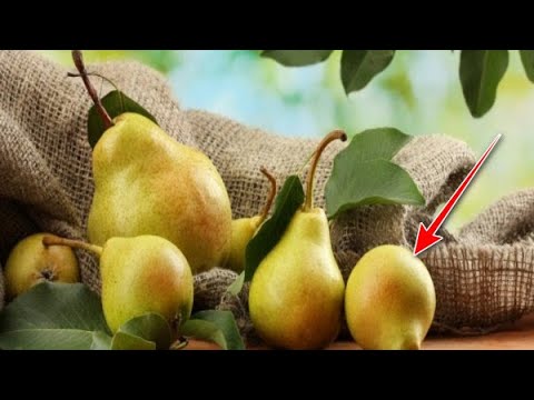 Βίντεο: Τι βιταμίνες είναι στο αχλάδι