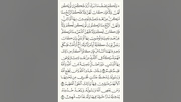 سورة النساء من الايه (12)الي (14)#الشيخ #ياسر_الدوسري