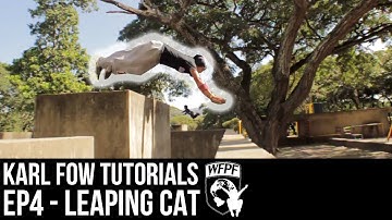 Leaping Cat (Kong) Tutorial - Ep 4 - Karl FOW (Affiliate Tutorials) - WFPF