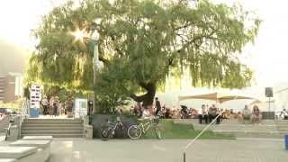The 2014 Harrison Festival