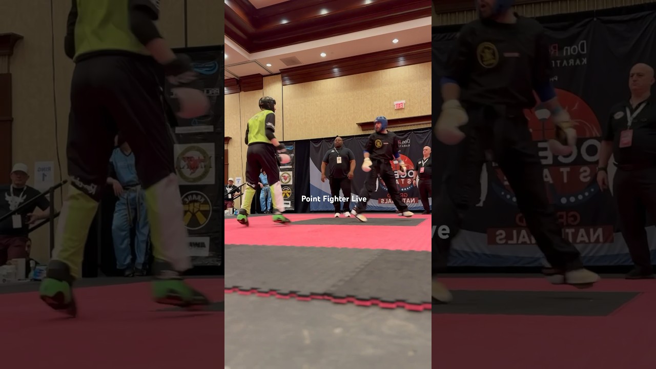 Perfectly Timed Point Fighting Spinning Kick 