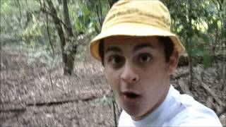 Celebrity Toad Hunters: Cane Toad (Invasive Species) Net Worth